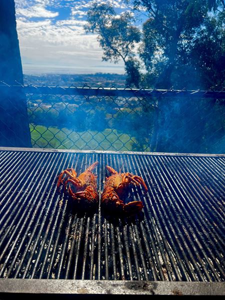 Oak and Fire Barbecue