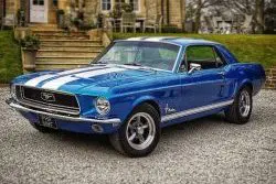 The Wedding Car Hire People