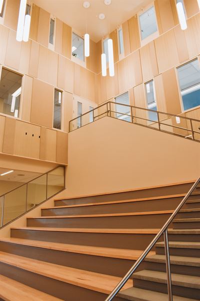 Hamlin Robinson School