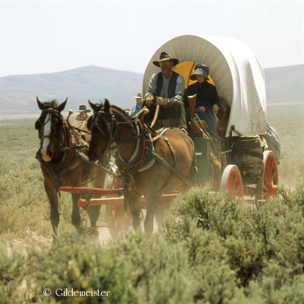 Gildemeister Photography & Design