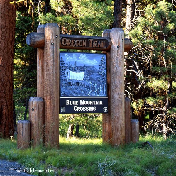 Gildemeister Photography & Design