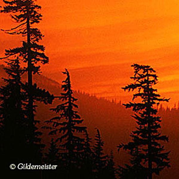 Gildemeister Photography & Design