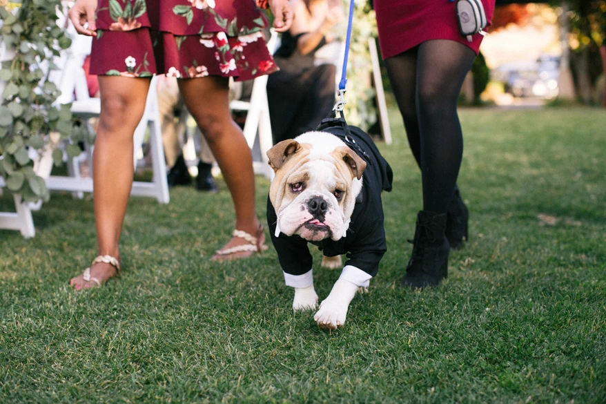 Greenhorn Creek Resort