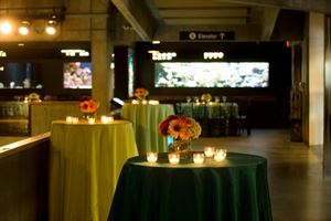 Entire New England Aquarium