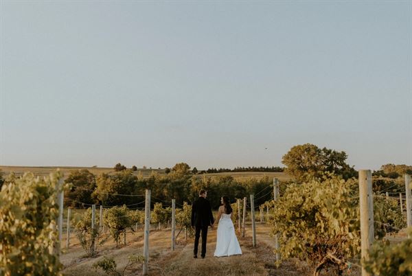 Glacial Till Vineyard and Winery