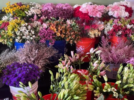 Hamiltons Florist St. Petersburg