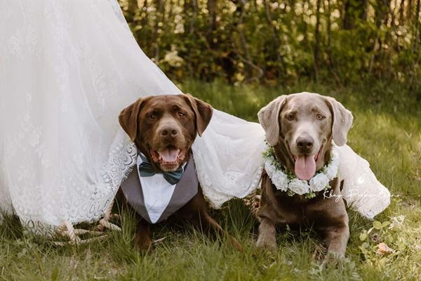 Kbay Productions Photography