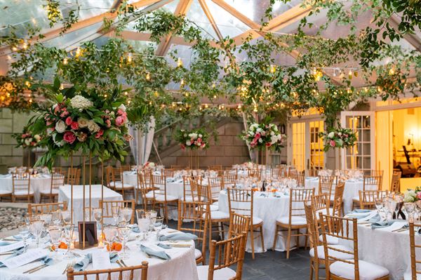 Petal's Edge Floral Design