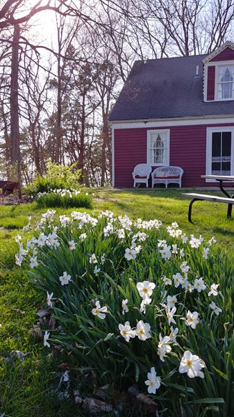 Cambre House and Farm