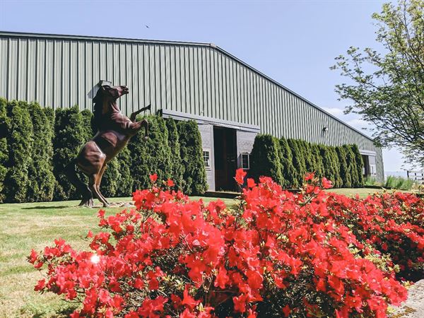 Eagle Mountain Ranch