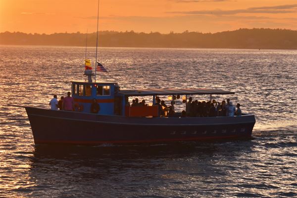 Mahi Mahi Cruises and Charters