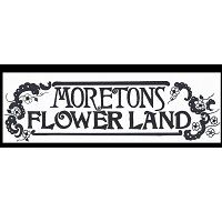 Moreton's Flowerland