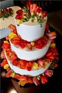 Snaptology Photography LLC