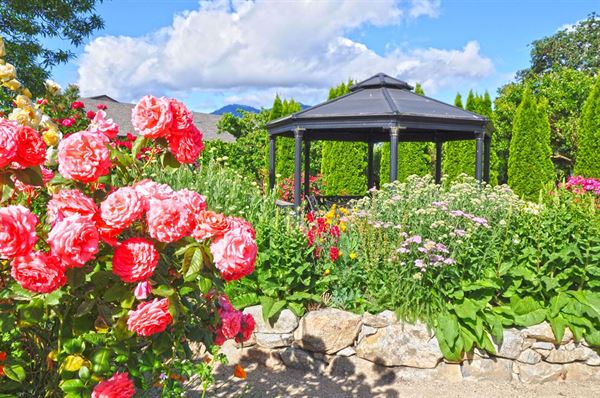 Schmidt Family Vineyards