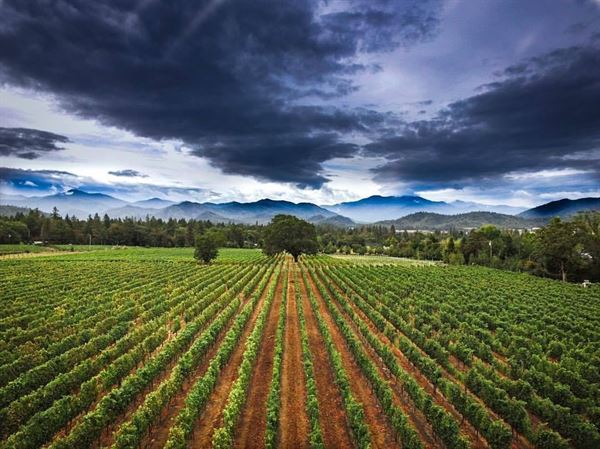 Schmidt Family Vineyards