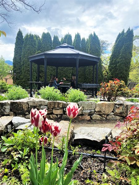 Schmidt Family Vineyards