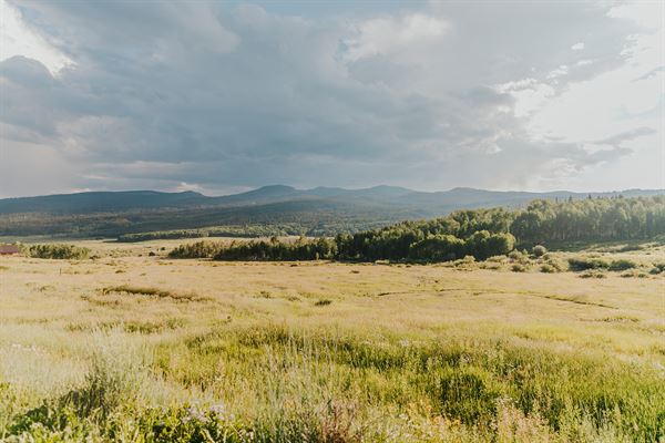 Electric Mountain Lodge
