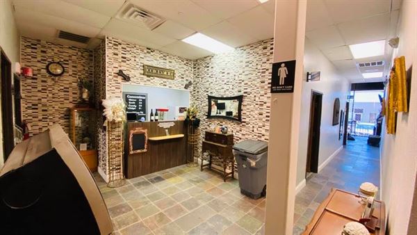 The Art Centre Theatre