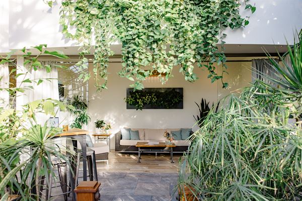 Aquatopia Conservatory