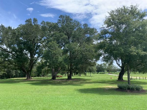 The Venue at Anderson Oaks