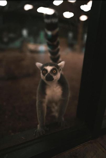 BRR Weddings + Events