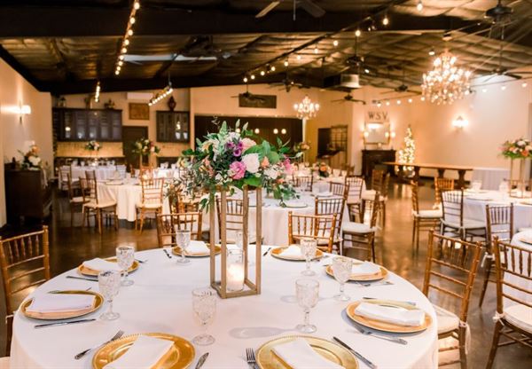 Wild Stallion Vineyards