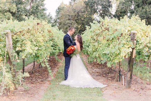 Wild Stallion Vineyards