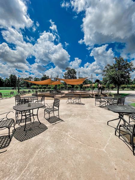 Wild Stallion Vineyards