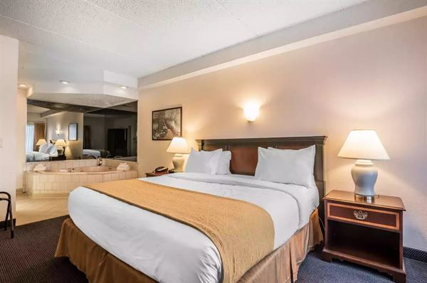 Quality Inn & Suites Albany Airport