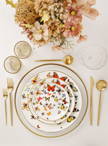 Festa Bonita Events and Rentals