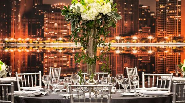 Hilton Chicago/Magnificent Mile Suites