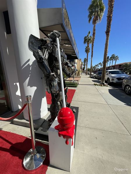 Elena Bulatova Fine Art Palm Desert