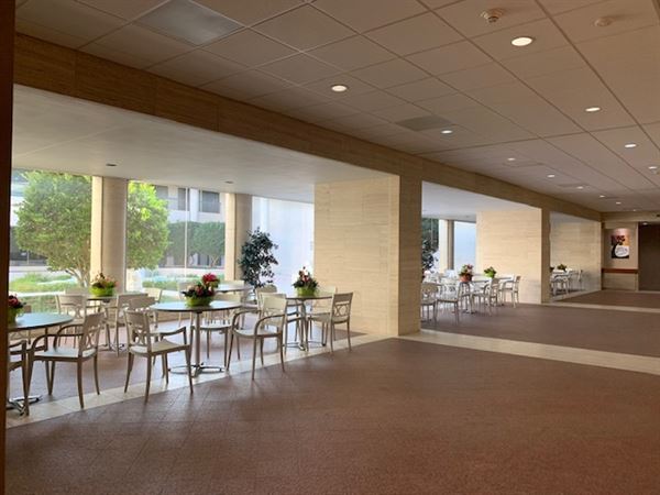 Appleton Museum of Art