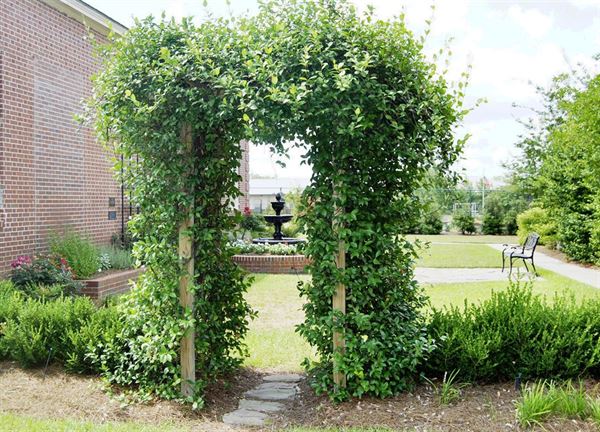 Colquitt County Art Center