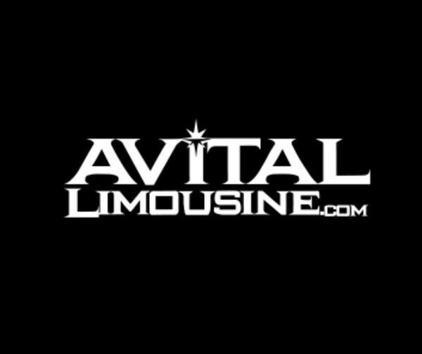 AVITAL CHICAGO PARTY BUS AND LIMOUSINE