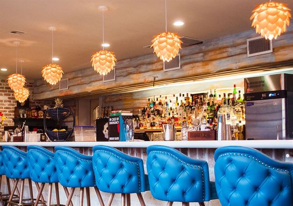 Rabbit's Got The Gun