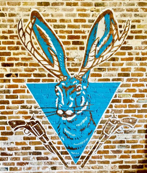 Rabbit's Got The Gun