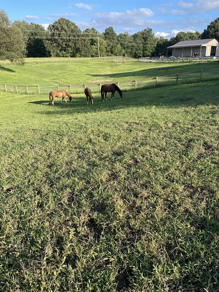 Arrowhead Stables Event Destination