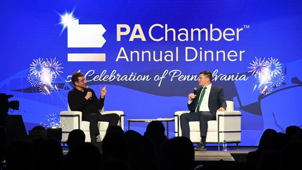 Stray Production Services