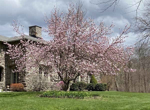 Stonehouse On The Hill