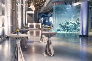 Aquarium Galleries and Great Hall