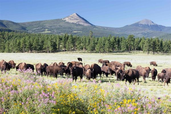 Ted Turner Reserves