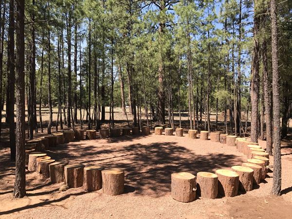 Camp Shadow Pines-Heber, Az.