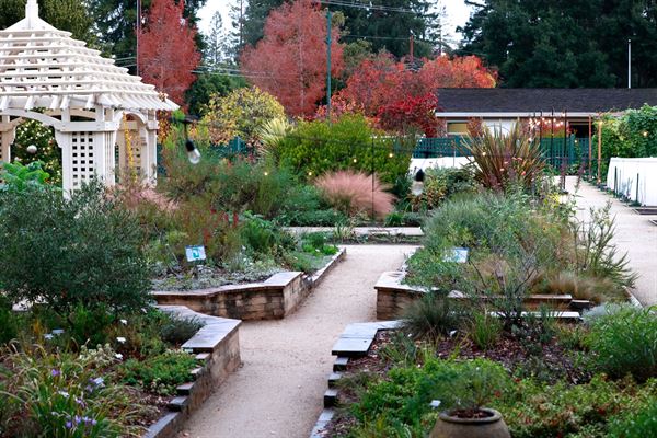 Elizabeth F. Gamble Garden
