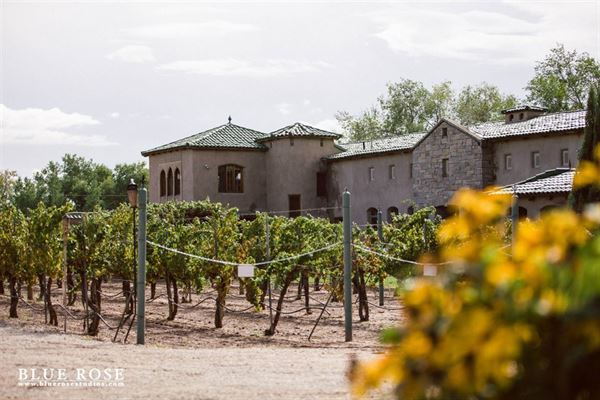 Casa Rondeña Winery