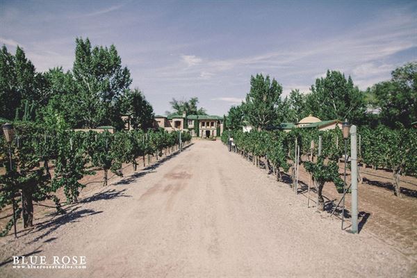 Casa Rondeña Winery