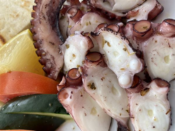 The Greek food truck