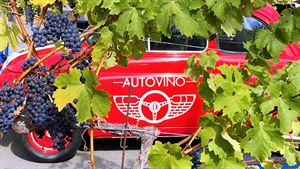 Outdoor Wine Garden Patio