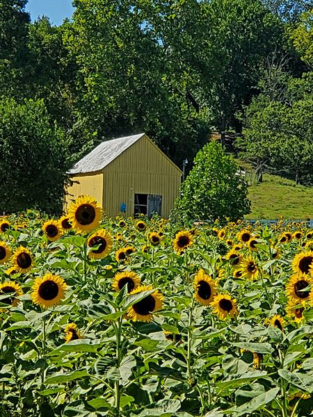 The Barn at Serenity