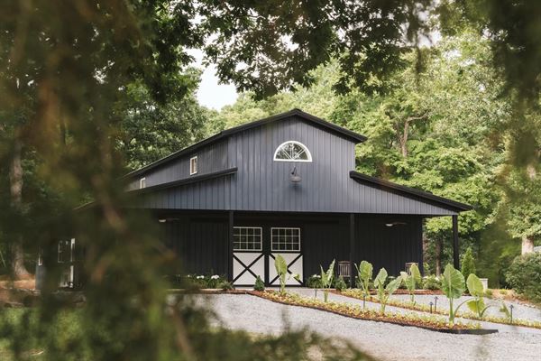 The Evergreen Estate